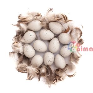 Декоративни яйца и пера, пъдпъдък
