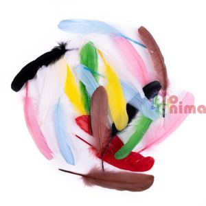 Разноцветни пера от гъска за декорация