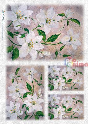 Декупажна хартия оризова KALit 32x45 cm Цветя 112