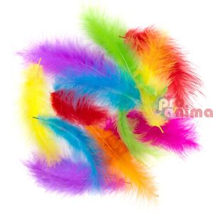 Пуешки пера за декорация в ярки цветове