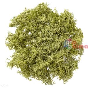 Цветен мъх за декорация, 30 g, зелен