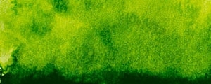 40 сочно зелена (sap green)