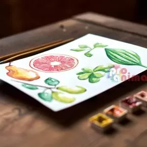 Комплект 48 цвята акварелни бои, Phoenix