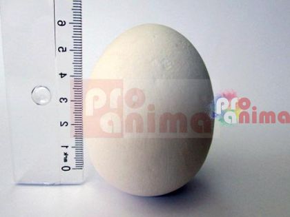 Керамично яйце 6 cm
