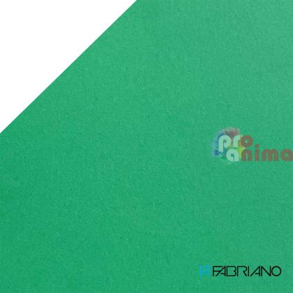 Цветен картон Fabriano Colore 50 x 70 cm 200 g/m² отделни цветове