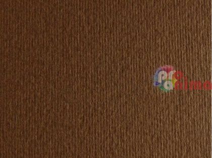 цветен картон Fabriano Elle Erre, marrone (кафяв)