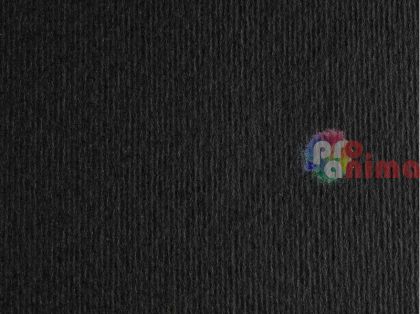 цветен картон Fabriano Elle Erre, nero (черен)