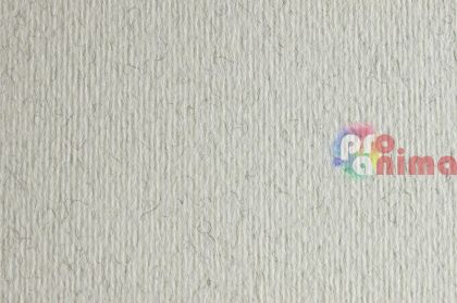 цветен картон Fabriano Elle Erre, brina (светлосив)