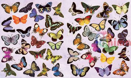 Декупажна хартия C. Kreul 60 g 33/48 cm Пеперуди