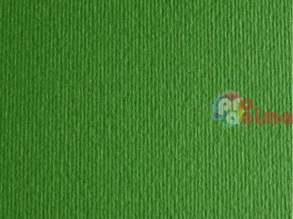 цветен картон Fabriano Elle Erre verde (зелен)