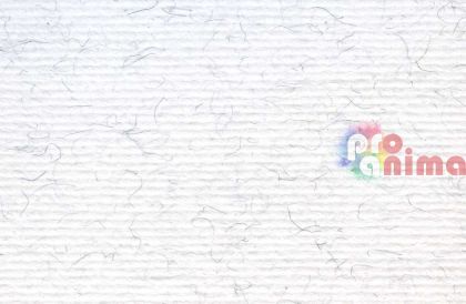 цветен картон Fabriano Elle Erre brina (светлосив)