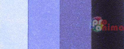 31 пруско синьо