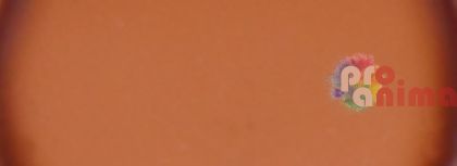 боя за стъкло 100 ml, 141 кафява