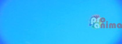 боя за стъкло 100 ml, 120  тъмносиня