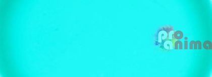 боя за стъкло 100 ml, 151 зелена