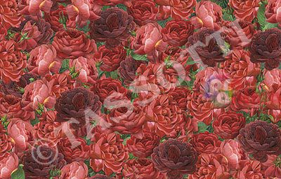 Декупажна хартия Marpa Jansen 80 g 50/70 рози чрв