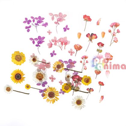 Прозрачни стикери от PVC, матирани, цветя, 49 бр.