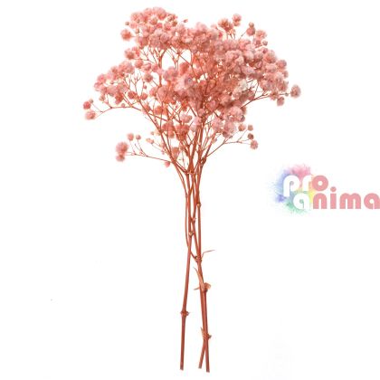 Сухи цветя за декорация DP Craft, светлорозова гипсофила, 20 cm