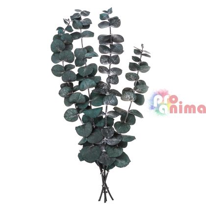 Евкалипт Baby Blue за декорация DP Craft, 4 стебло