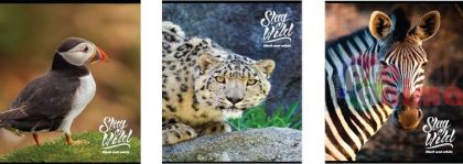 Тетрадка Black&White, A4, 40 листа, малки квадрати, Stay Wild