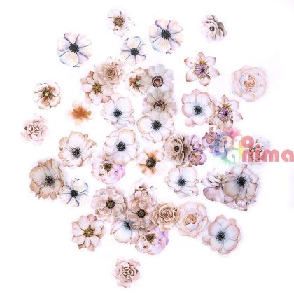 Стикери от прозрачно PET фолио, DP Craft, цветя, пастелни, 50 бр.