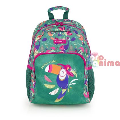 Ученическа раница с едно отделение и подплатен полиестерен гръб Gabol Vida