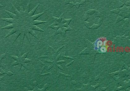 Картон преге Marpa Jansen 220 g 50 x 70 cm звезди зелен