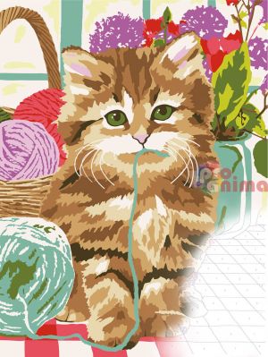 Комплект рисуване по номера Коте: платно, 14 цвята, 3 бр. четки