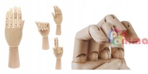Дървен модел на дясна ръка Renesans