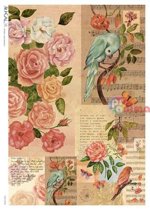 Декупажна хартия оризова KALit A4 Птици 69