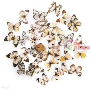 Стикери от прозрачно фолио, пеперуди, 40 бр., черно-бели