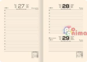 Планер 14 x 20 cm, твърда корица, златна порезка, в кутия