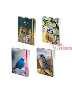 Бележник с дати 2026, 14 х 20 cm, Birds, 168 л., с ластик
