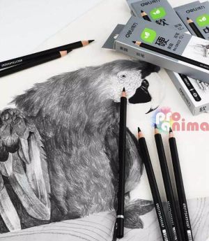 Въглен в молив Deli, 3 твърдости